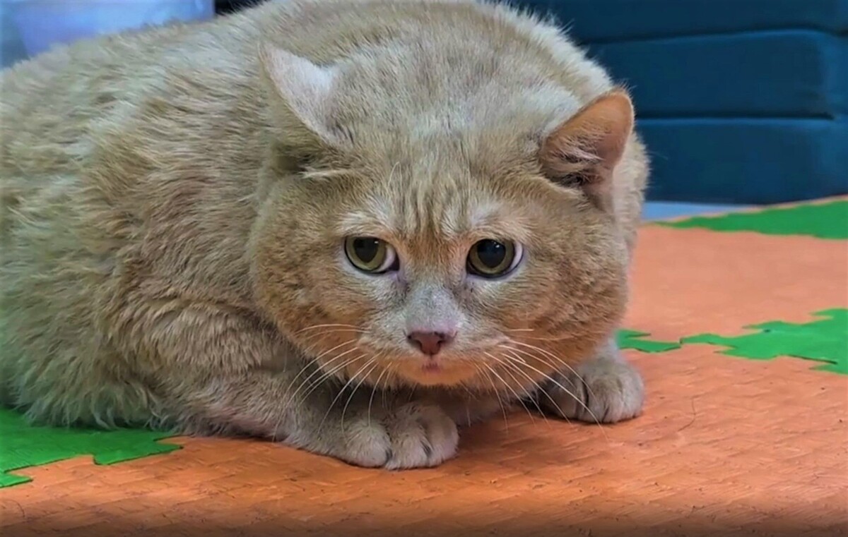     / Источник: Кадр из видео