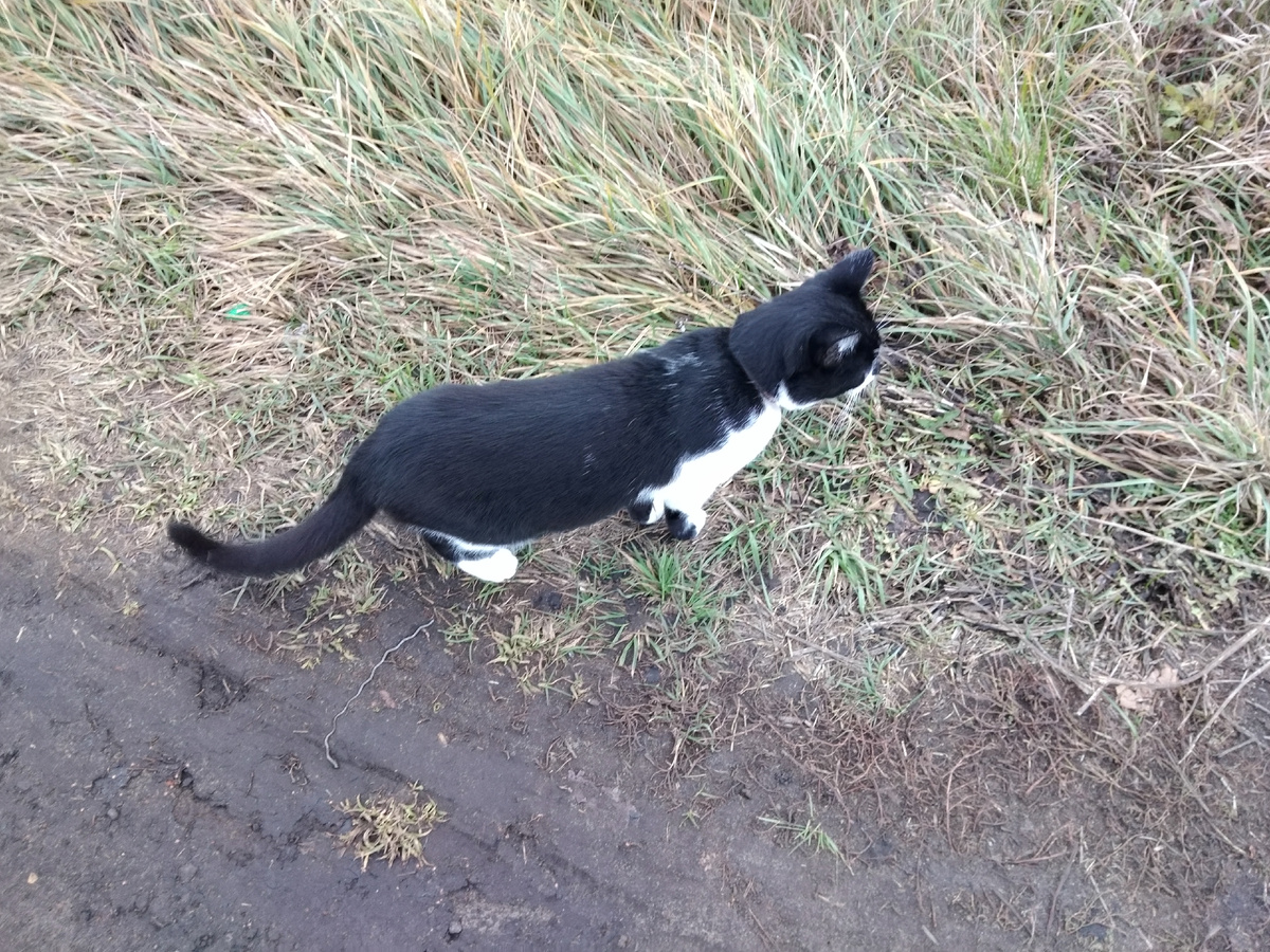 Фото автора.