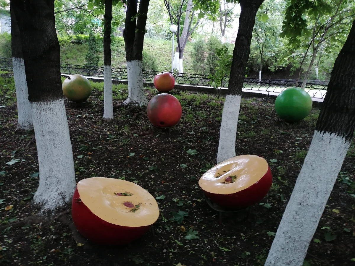 Картинка для разбавления текста