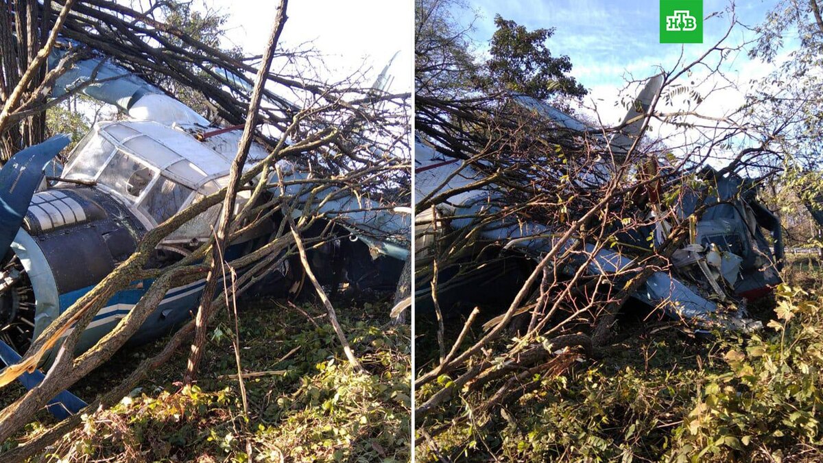    Фото: Глава Предгорья / t.me