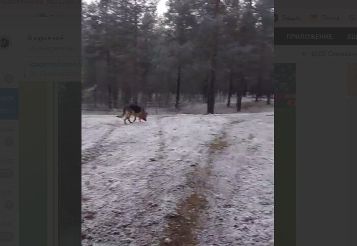    Фото: скриншот ТГ-канала Евгения Верещагина Ульяна Бажанова