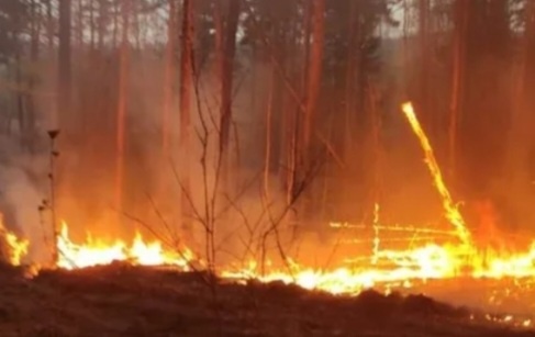 Пожар у деревни