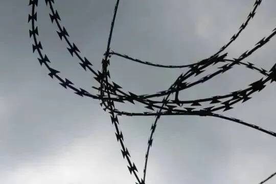    Появилась информация о подельнике скрывшихся из липецкой колонии осужденных