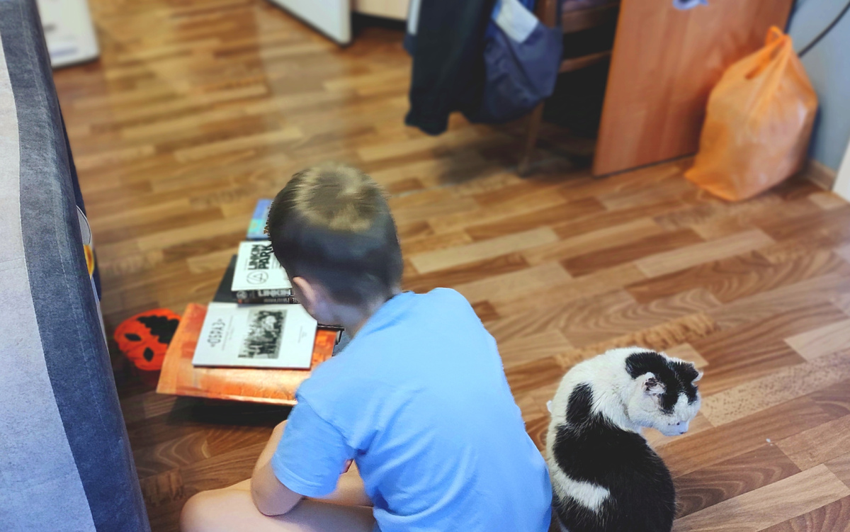 Паша и кот Саша