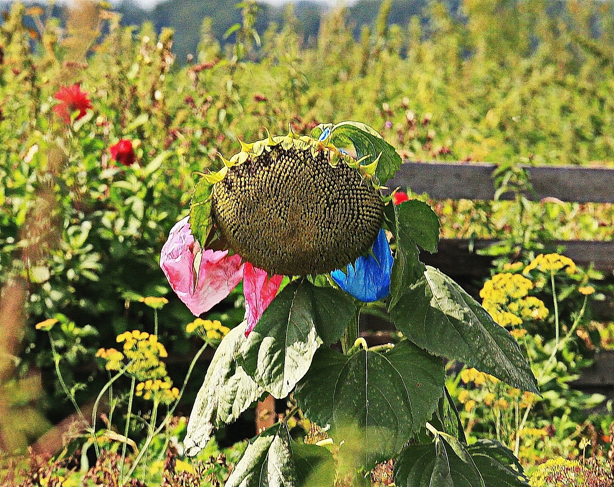 фото https://vk.com/id296798908?from=search