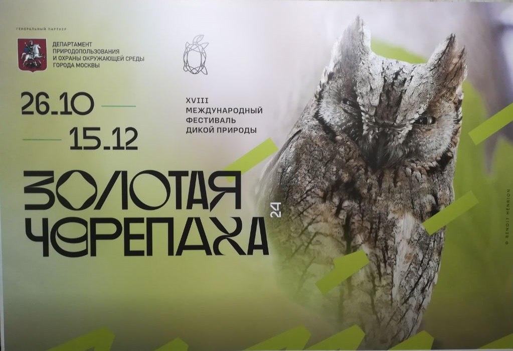 Фестиваль дикой природы Зотолая черепаха 2024 ждёт вас!