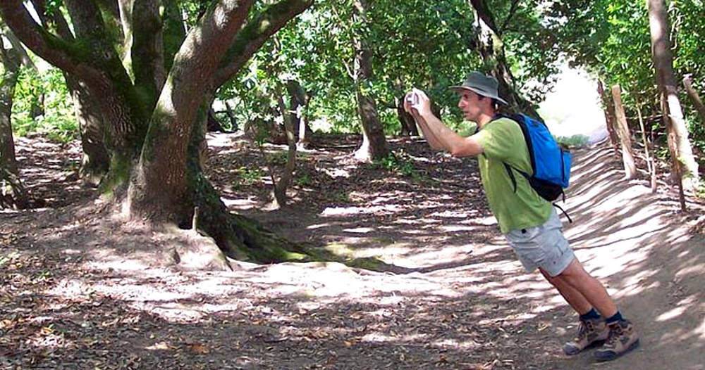 В Mistery Spot ориентация искажается. Источник: Яндекс картинки