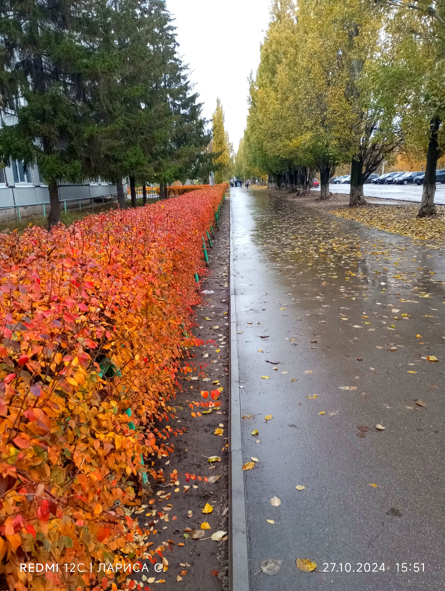 Красота же?!