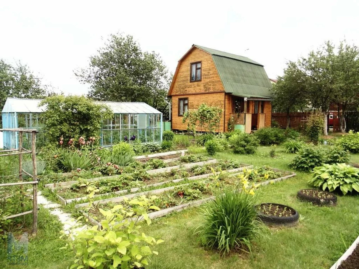 Фото из интернета. Участок в СНТ.