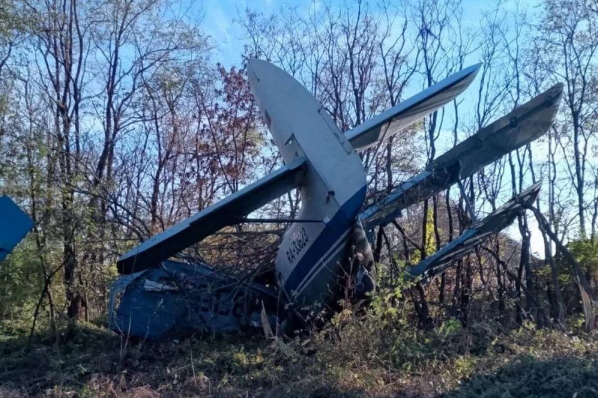    ТАСС: упавший на Ставрополье Ан-2 в полёте мог задеть линию электропередачи