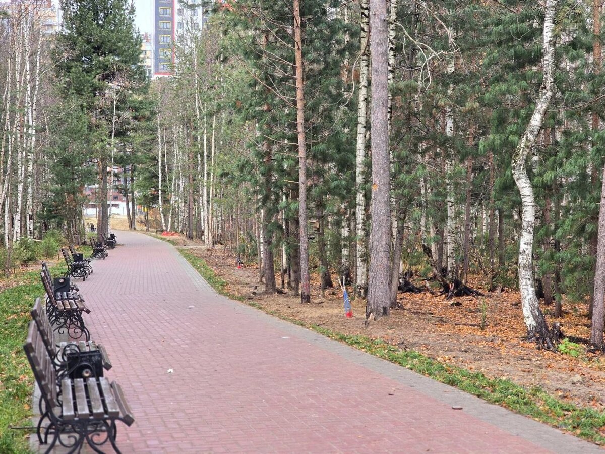    В Сургуте завершают работу над благоустройством сквера в одном из городских микрорайонов