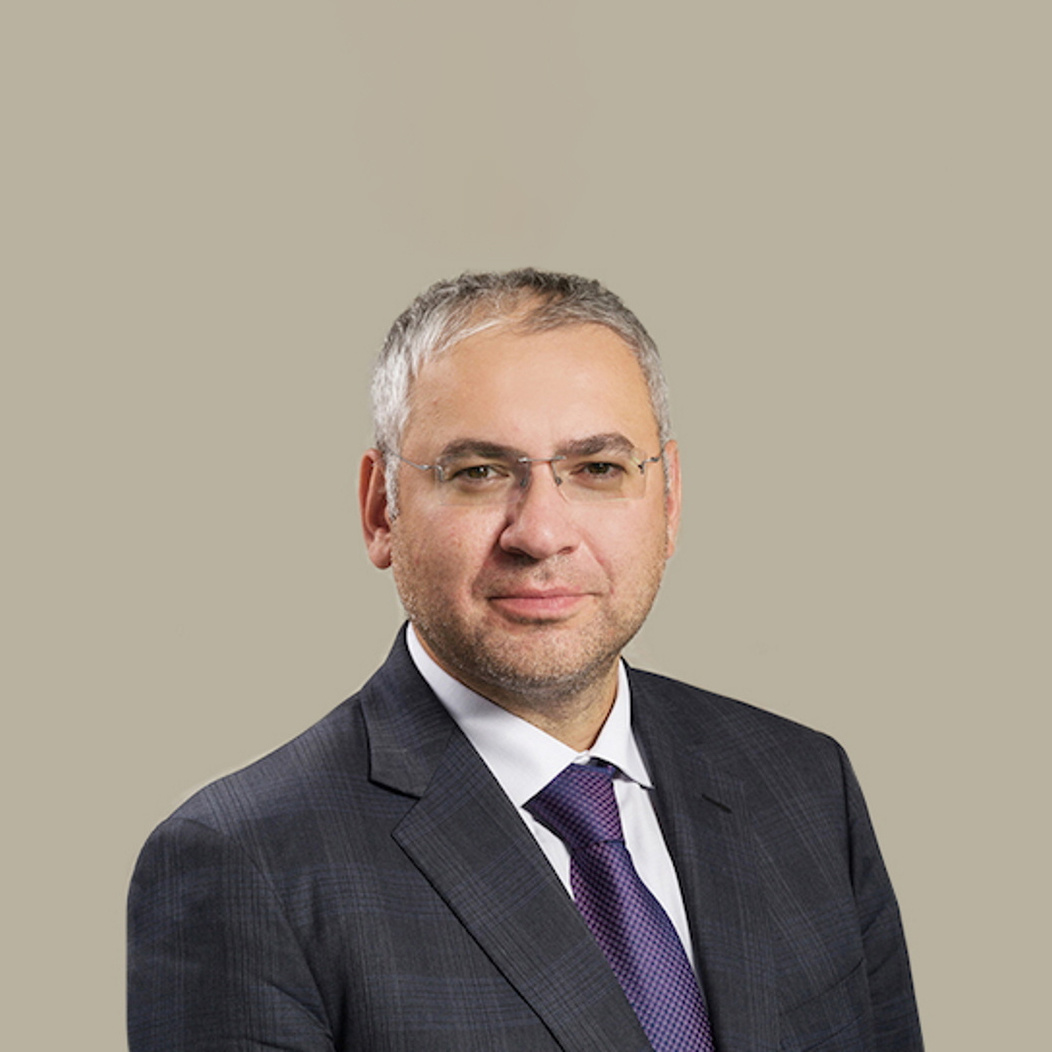 Виталий Несис