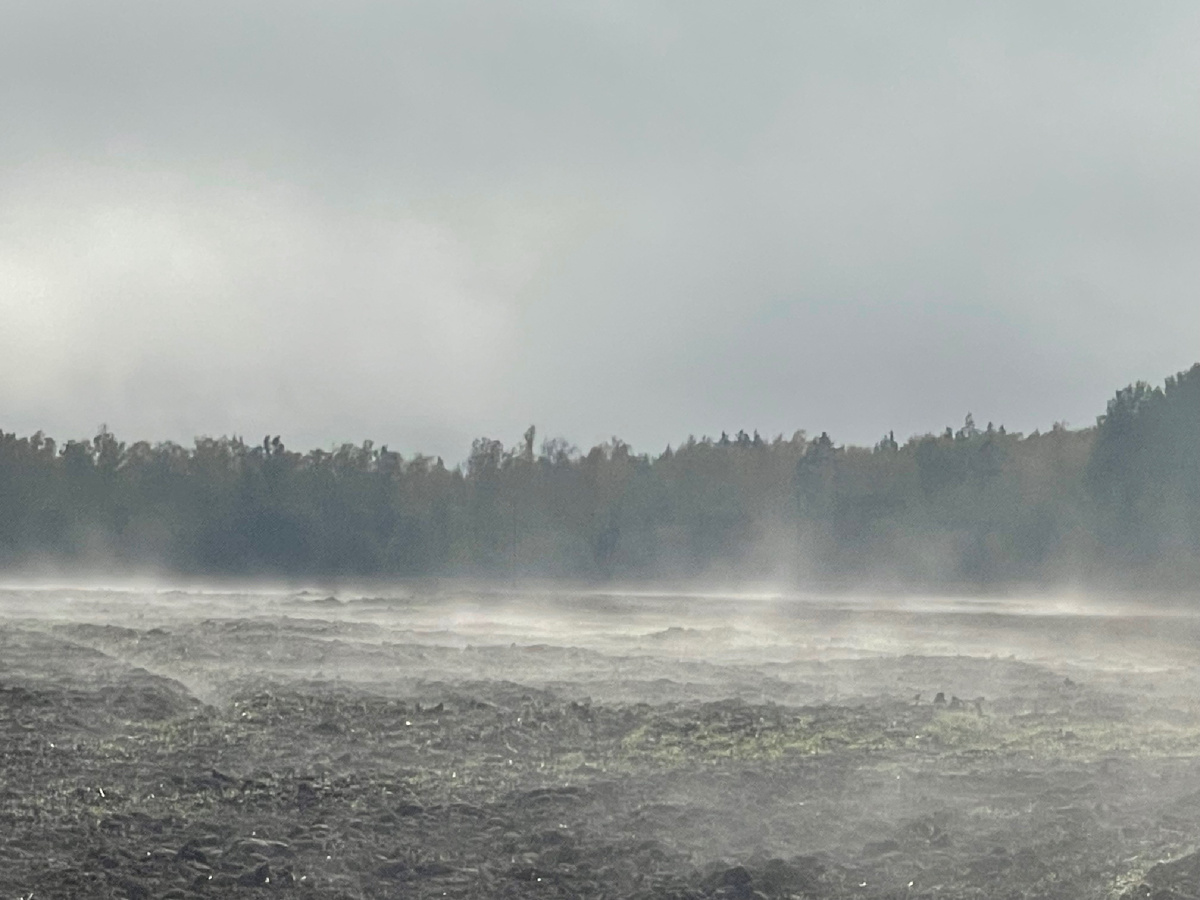 ПОСЛЕ ДОЖДЯ