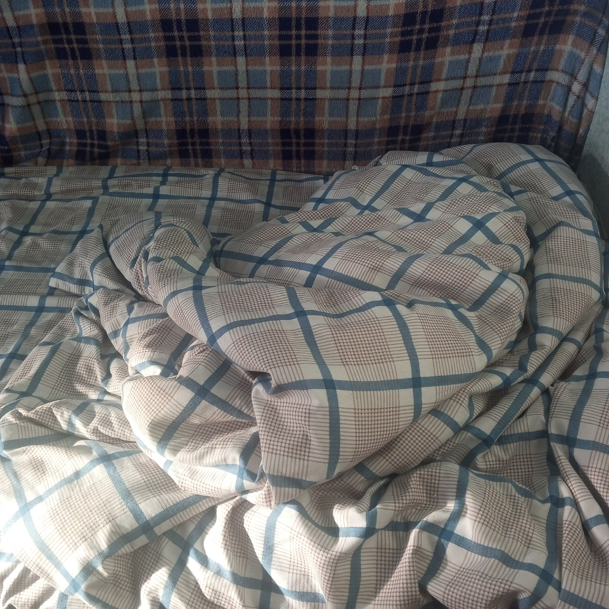 Найди на фото таксу . 😂  Если не гуляет  или ест , значит дрыхнет.  