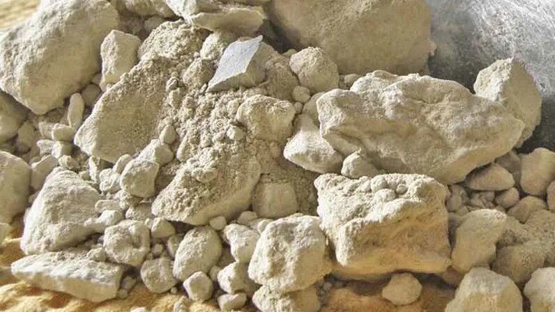 Диатомит — осадочная горная порода, состоящая из останков диатомовых водорослей