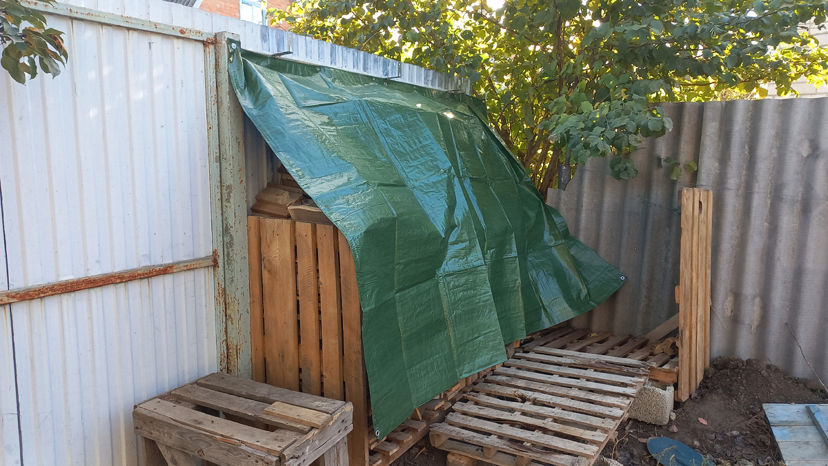 Это и другие фото в статье сделаны автором и принадлежат ему на условиях авторского права 