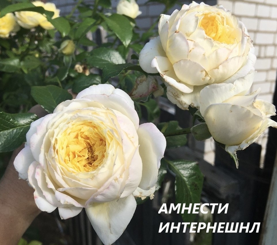 фото Екатерины