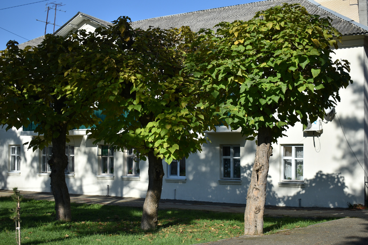 Старый фонд