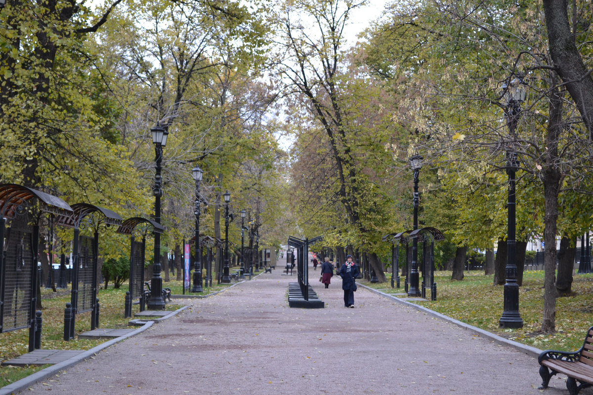 Москва. Гоголевский бульвар. 25.10.24г. Фото автора 