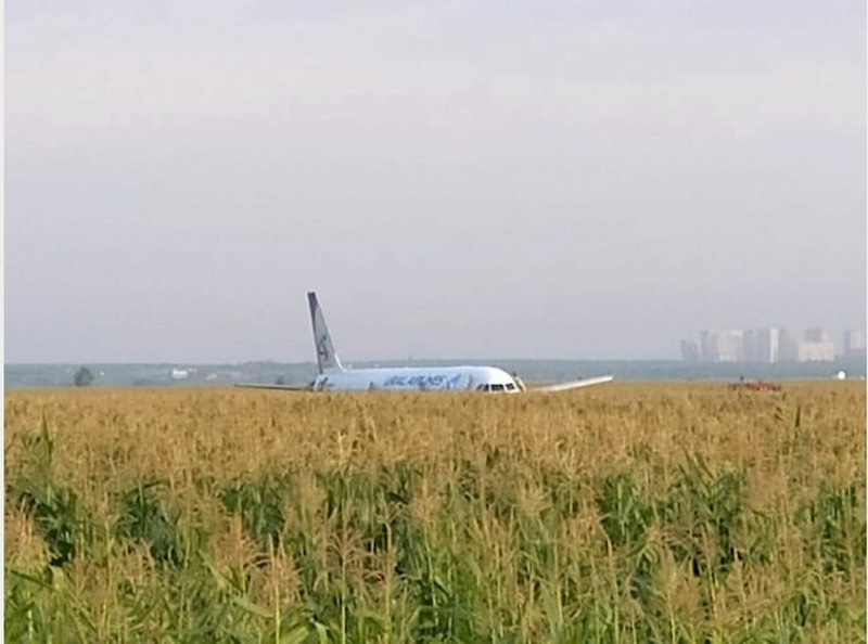    ФОТО: EMERCOM of Russia/via Global Look Press