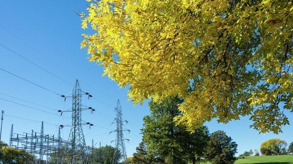    © Photo : Unsplash / American Public Power Association