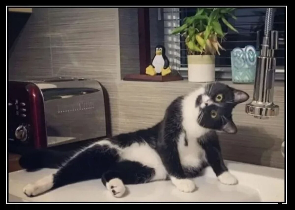 источник Яндекс-картинки