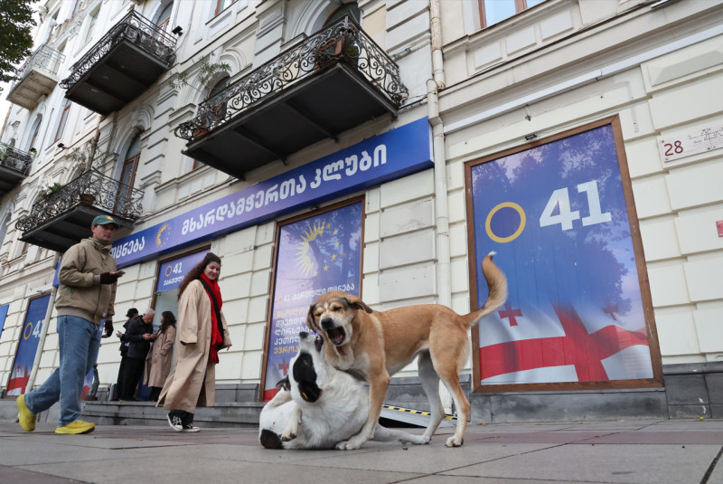    © ALEKSEY BELKIN/GLOBAL LOOK PRESS