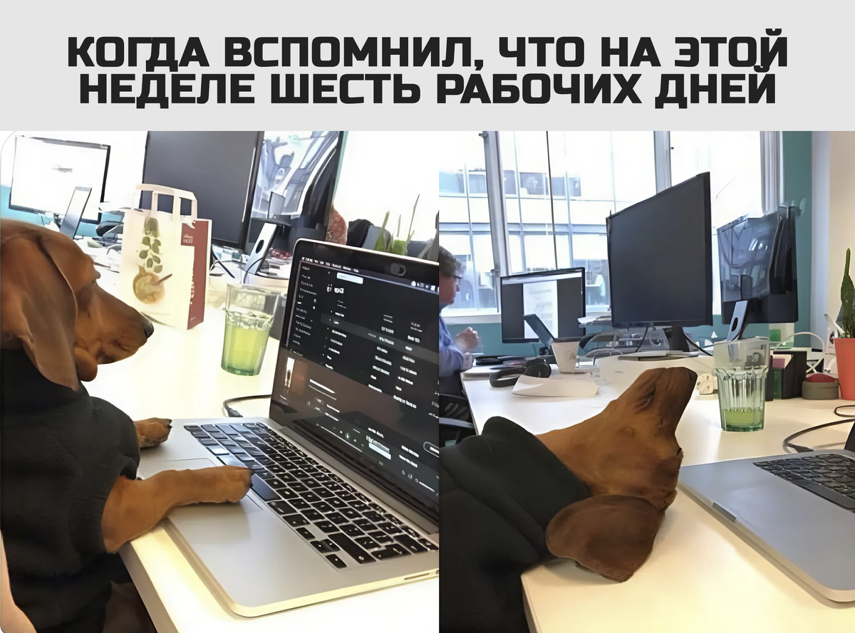 7 октября 2024 рабочий день