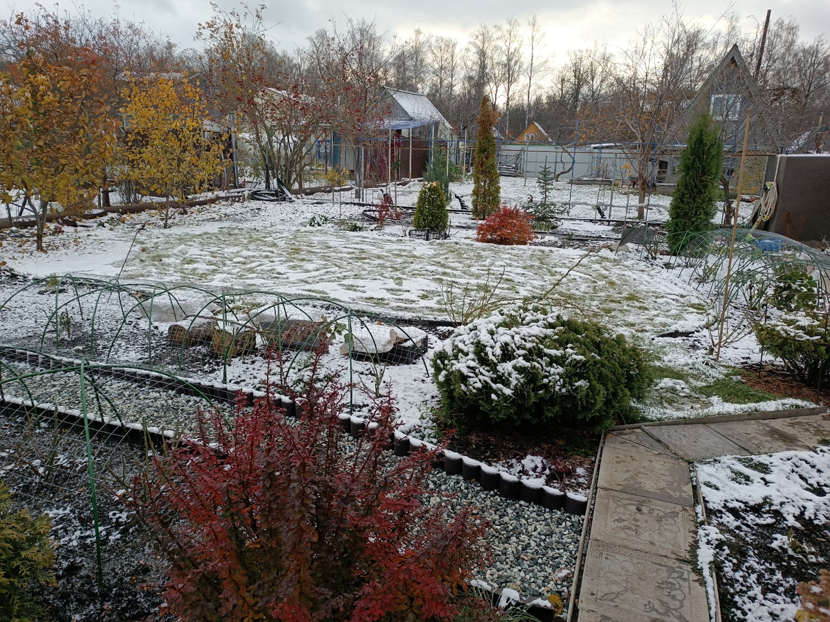 Первый снег 