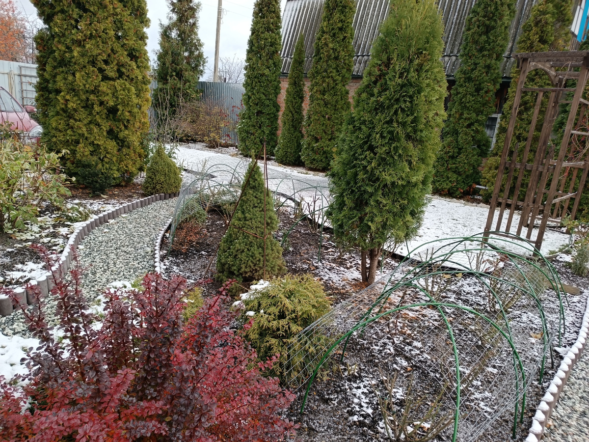 Таким нас встретил  ноябрьский сад