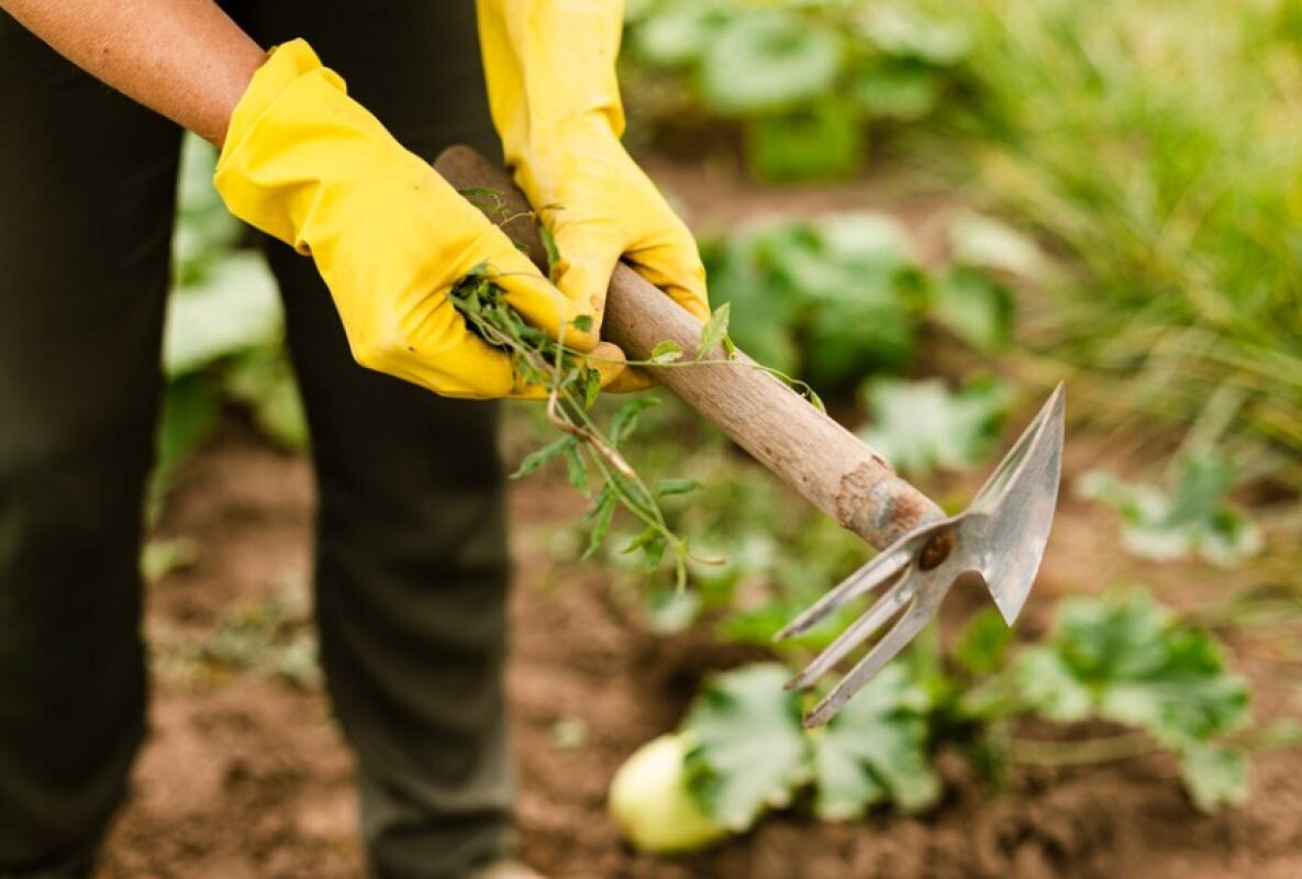 Фото: ru.freepik.com 