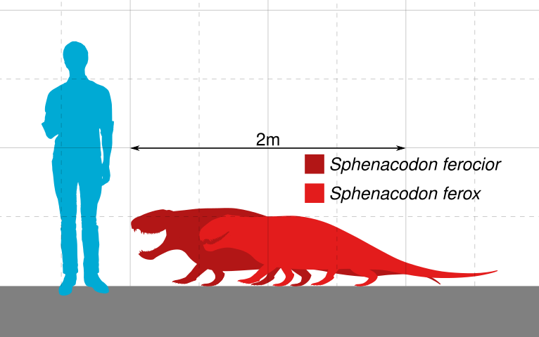 Вот размеры офиакодона по сравнению с человеком например.
