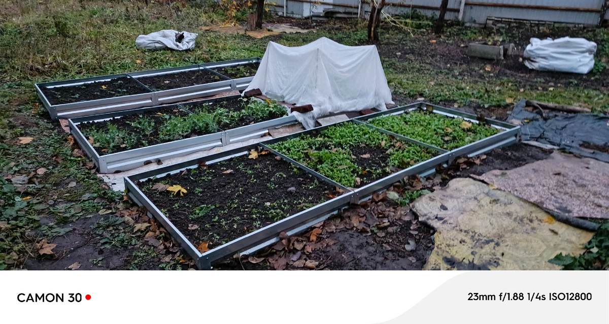 Зелень укрывала на морозные ночи 