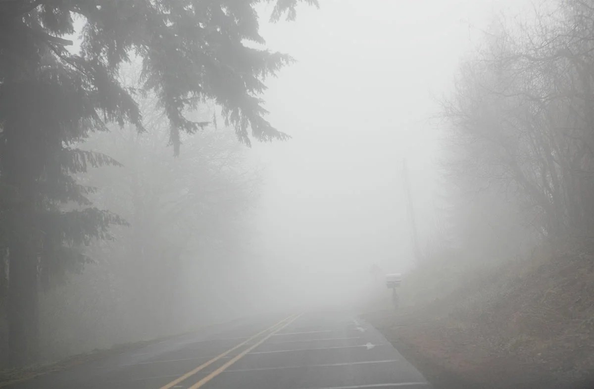 Фото из интернет-источников