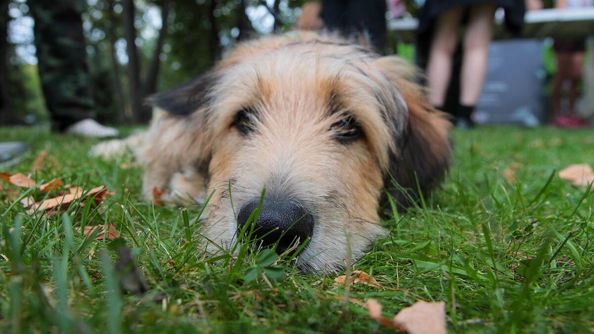    Фото: Василий Кузьмиченок / АГН Москва
