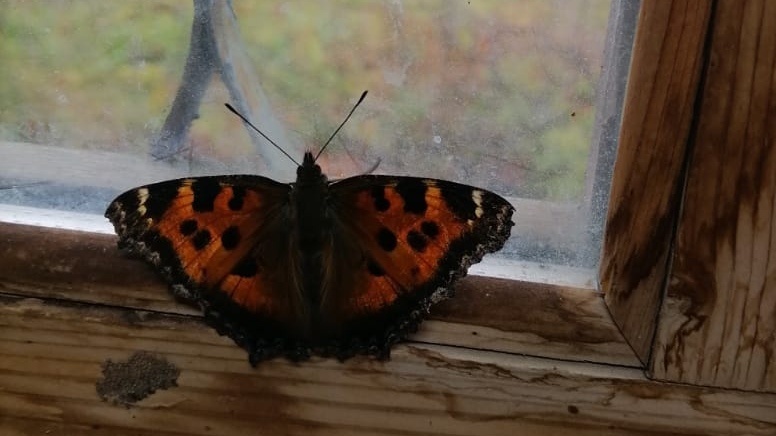 Фото супруга