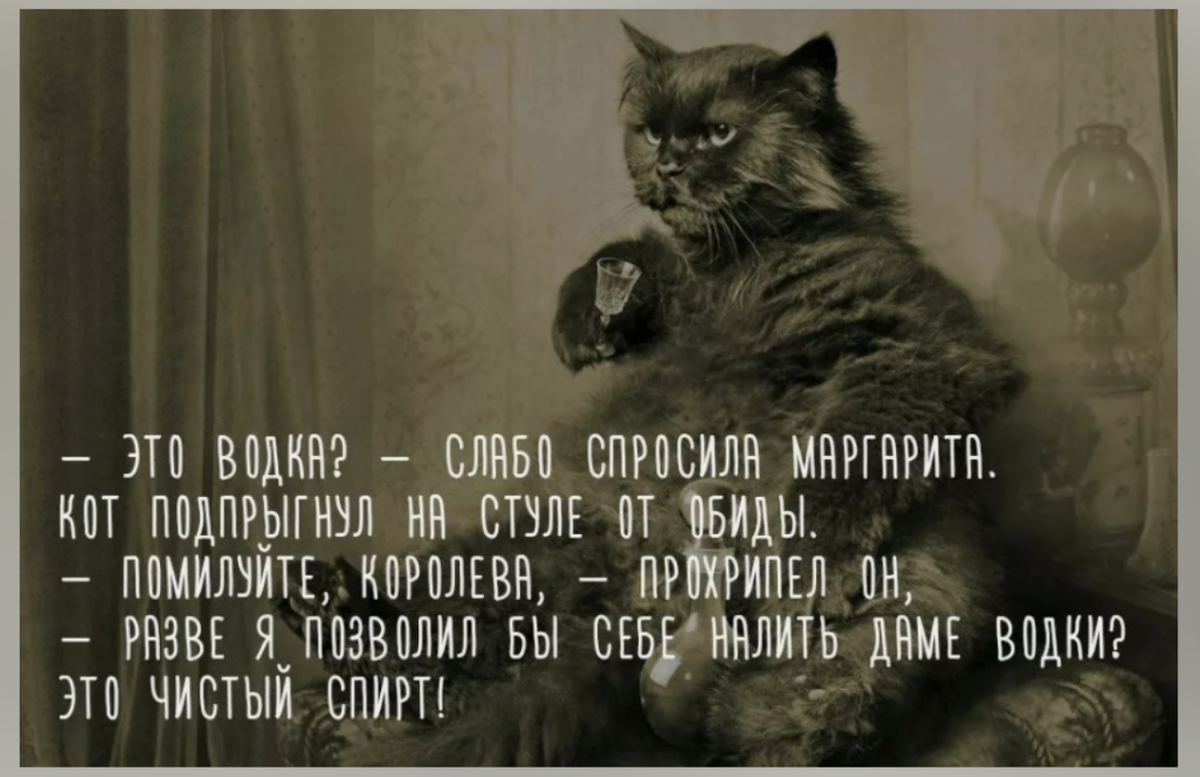 Фото из открытых источников интернета - 