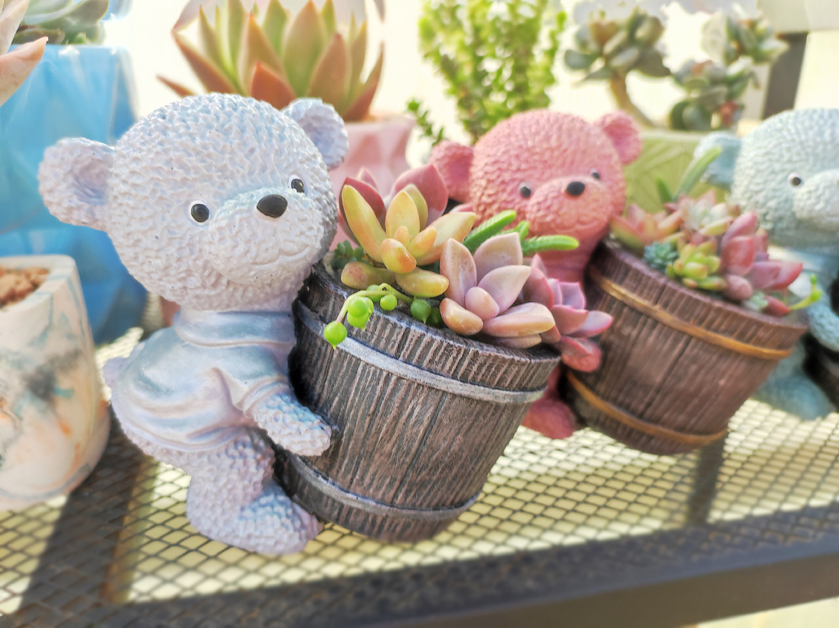 Кашпо для композиций из суккулентов