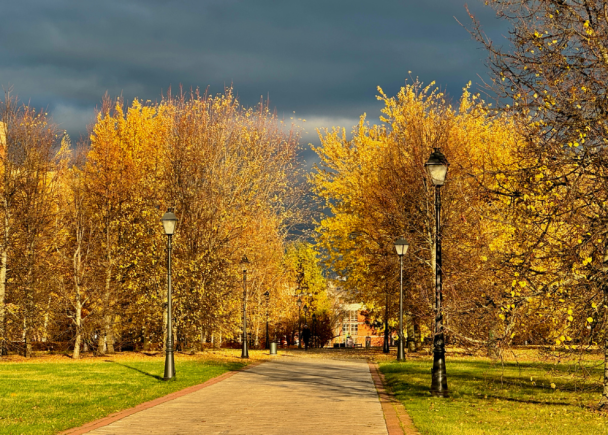 Фотографии автора.