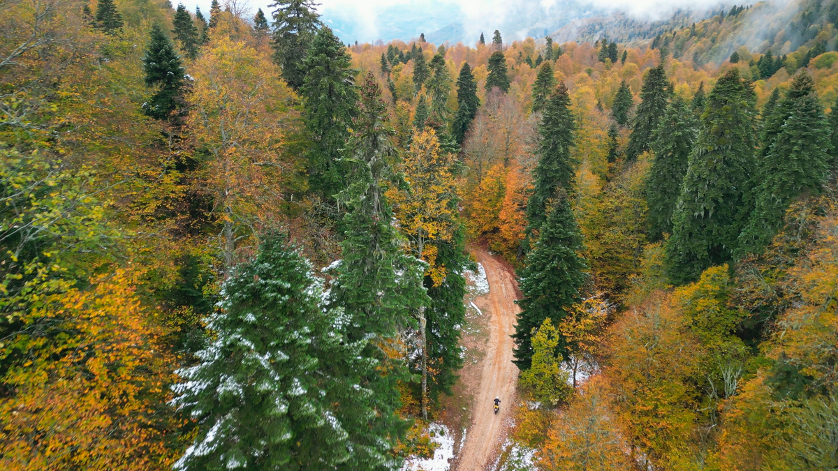 Дорога на Кушенский перевал