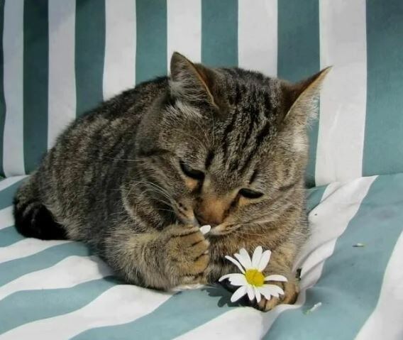 Прочтут - не прочтут? ))