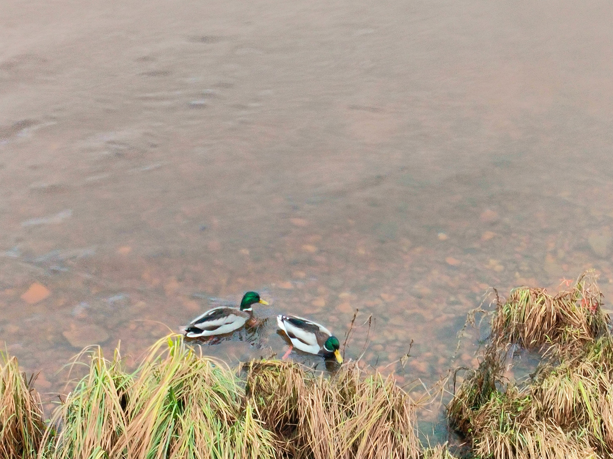 Фото из архива автора канала
