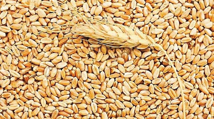     В идеале речь должна идти о современном высокотехнологичном цифровом маркетплейсе