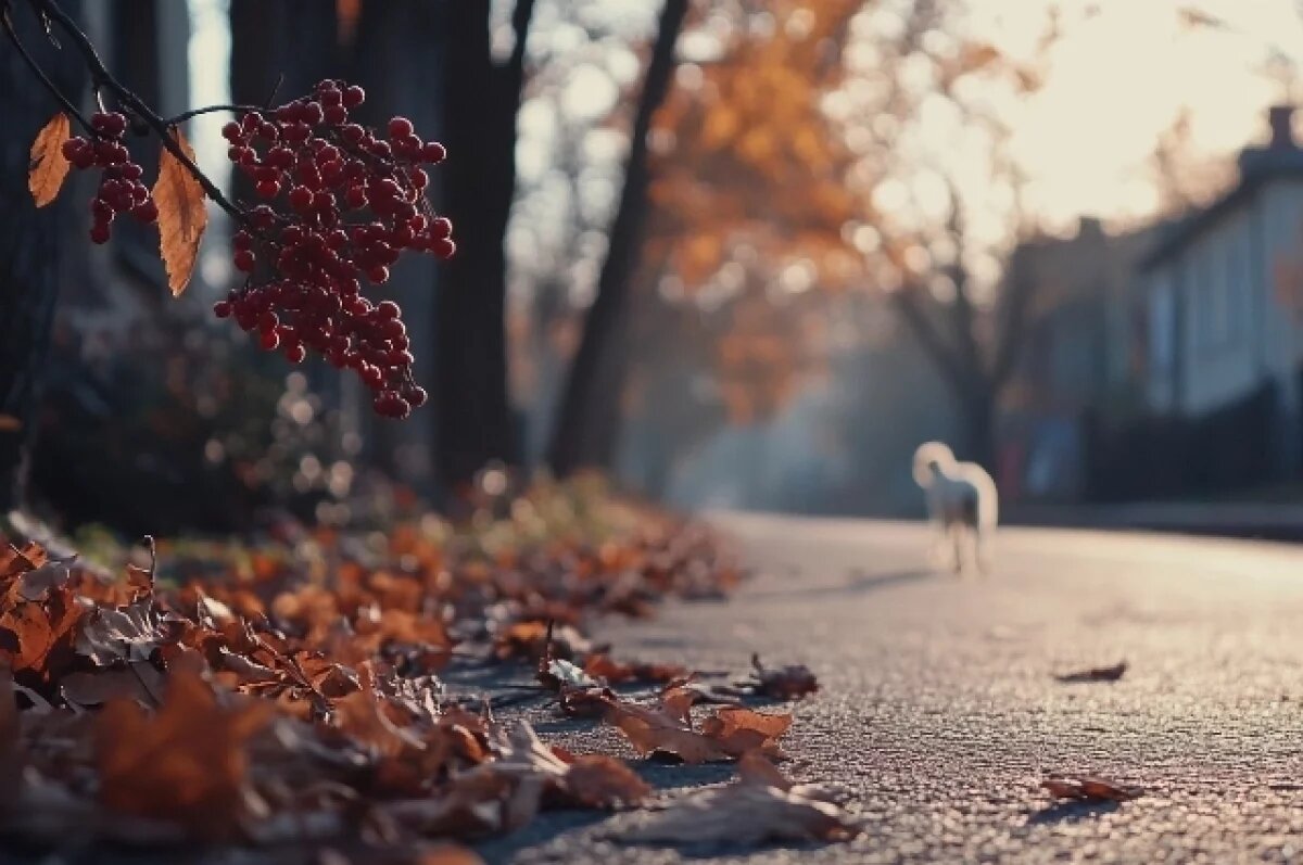    Путешествие из Белгорода.