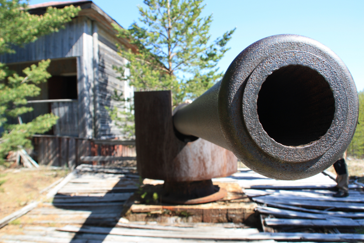 Источник: eco29.ru