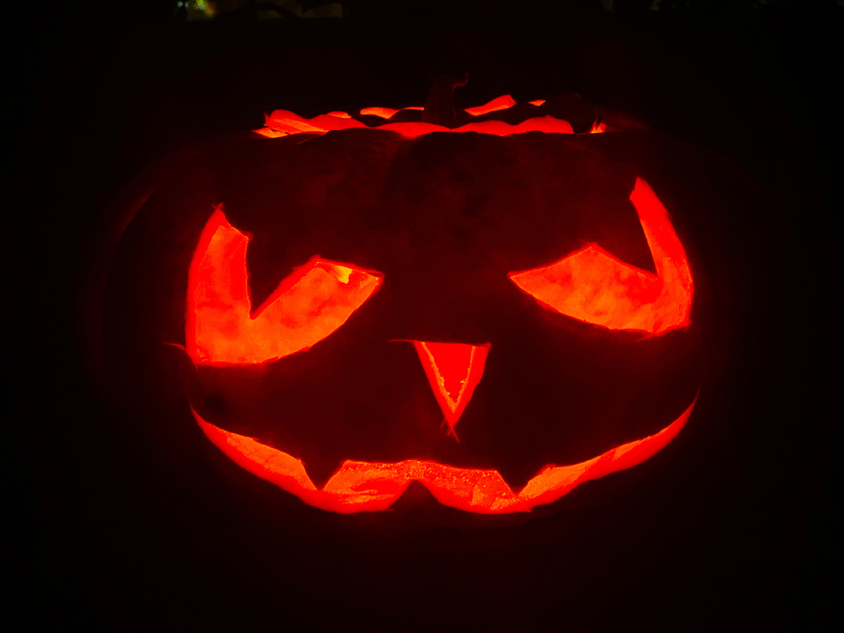 Фото из личного архива 