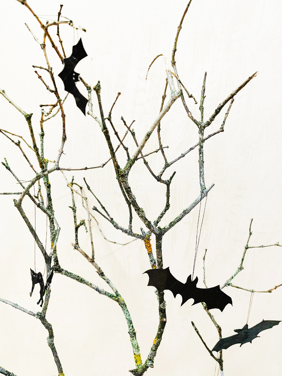 Фото из личного архива 