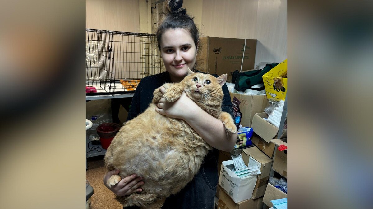 Фото: vk.com/matroskinperm