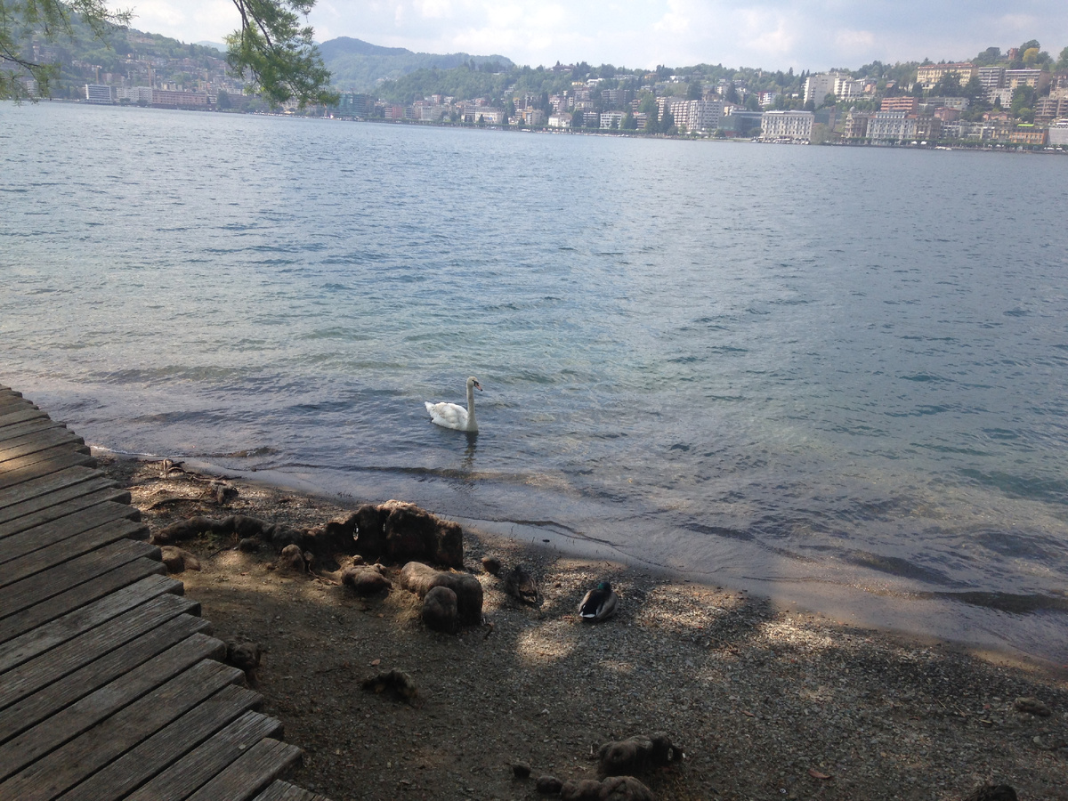 Швейцария. г. Лугано. Озеро Лугано. Фото автора