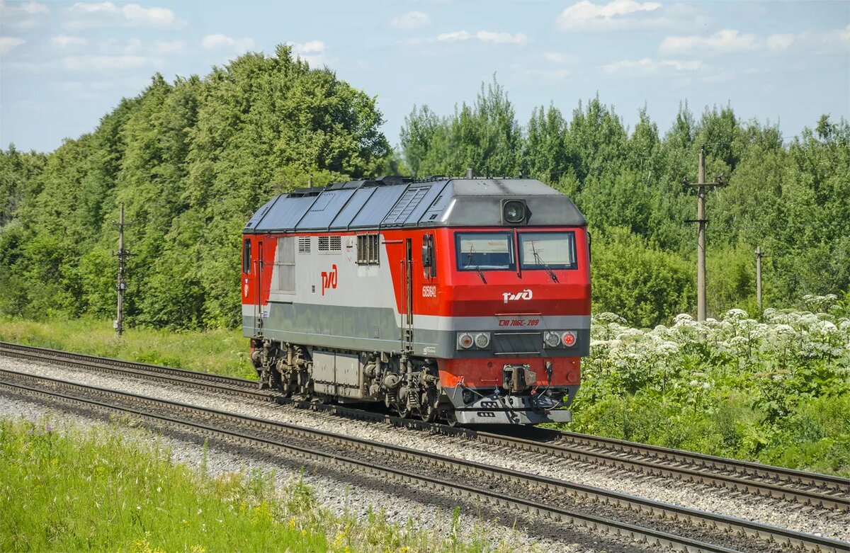 Фото из интернета